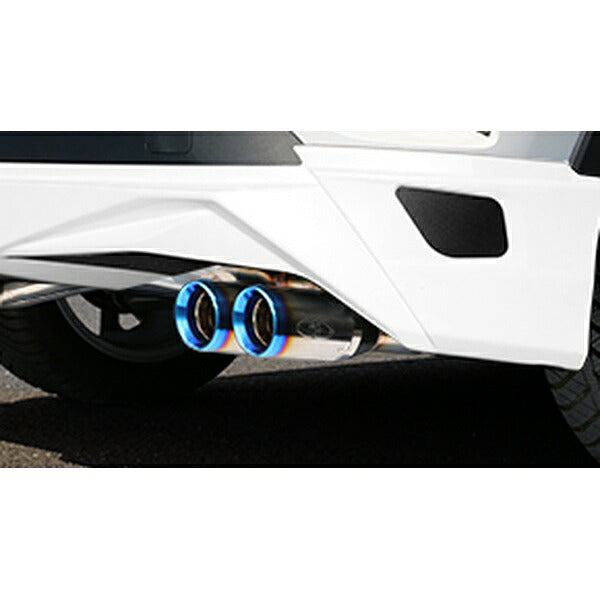 GANADOR Vertex 4WD/SUV C-HR ガソリンターボ 2WD DBA-NGX10 3BA-NGX10 （6MT/CVT） 共通 R1.10〜 【GVE-031DBL】 マフラー ガナドール バーテックス 4WD/SUV
