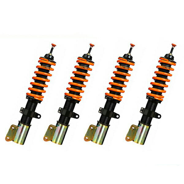 Aragosta TYPE-C ホンダ インサイト ZE2/ZE3 2009/02〜2014/03 3AAA.HG.A1.000